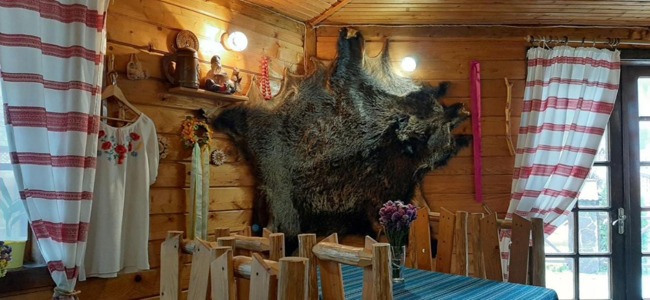 Готель Колиба Колорит タターリウ エクステリア 写真